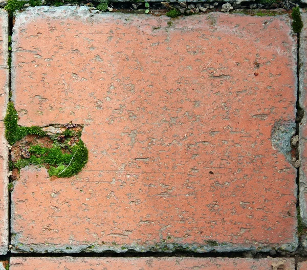 Fondo de textura de pared de ladrillo — Foto de Stock