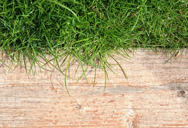 草の上の木の板 — ストック写真