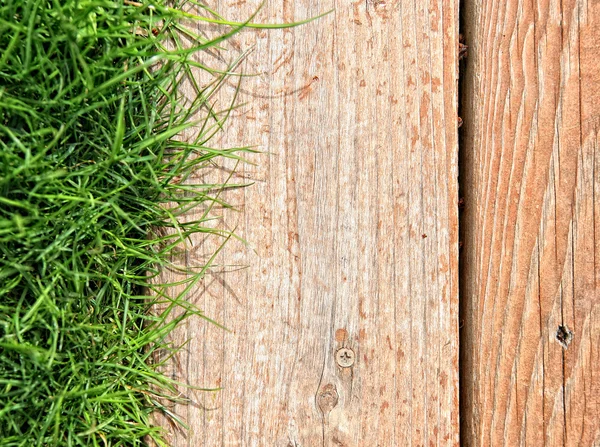 Houten plank op gras — Stockfoto