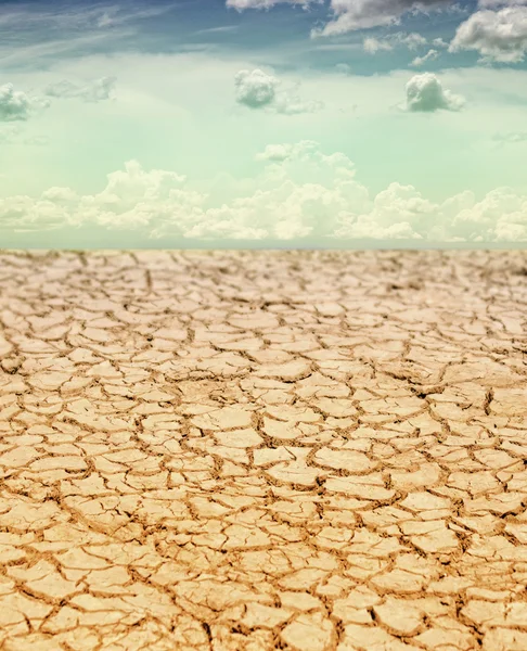 Drought land — Stock Photo, Image