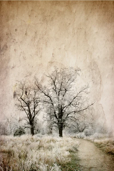 Árboles en un campo congelado — Foto de Stock