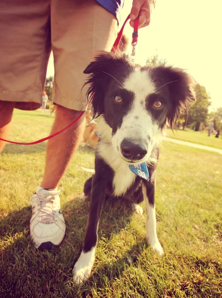 Toscana. ridning i maremma