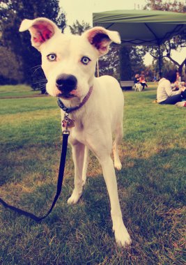 Toscana. ridning i maremma