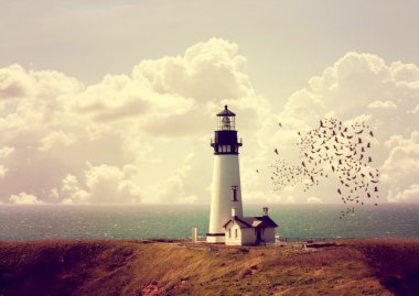 Lighthouse with flock of birds