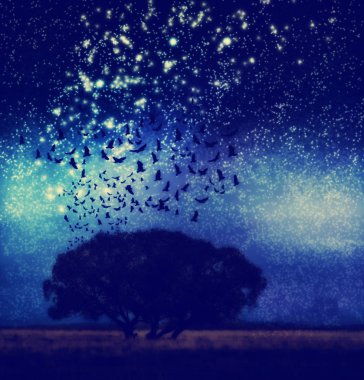 kuşlar ve yıldız ile ağacı