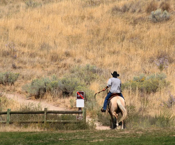 Cowboy riding a horse — Stock Photo, Image