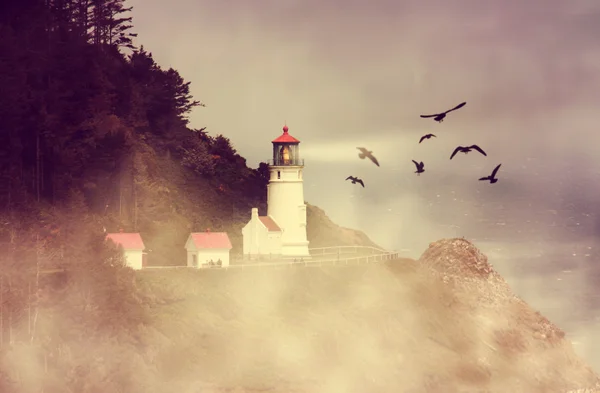 Kuş sürüsü ile deniz feneri — Stok fotoğraf