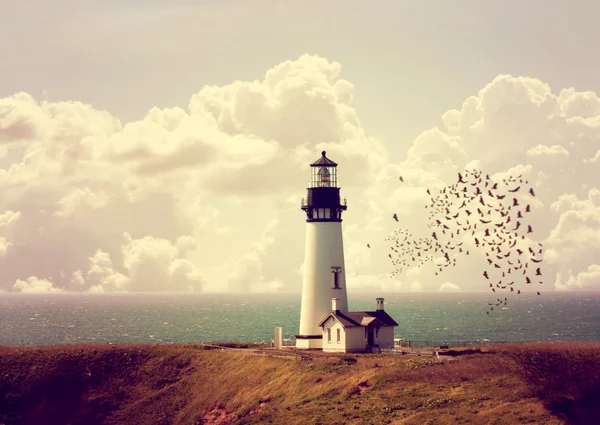 Lighthouse with flock of birds — Stock Photo, Image