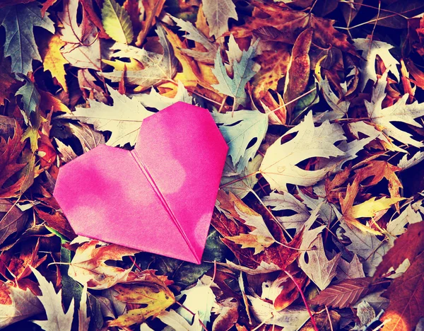 Origami Herz und Blätter — Stockfoto