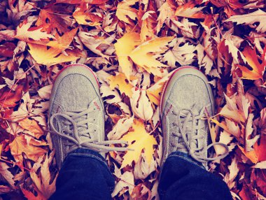 Ayakları üzerinde renkli sonbahar yaprakları
