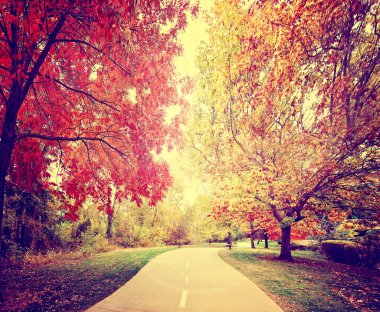 Yol gidiş yine de sonbahar park