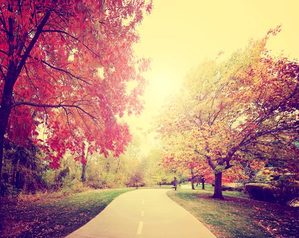 Camino pasando por el parque de otoño — Foto de Stock