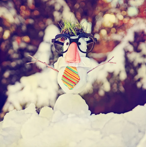 Schneemann mit Hipster-Krawatte und Brille — Stockfoto