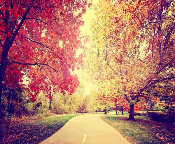 Camino pasando por el parque de otoño — Foto de Stock