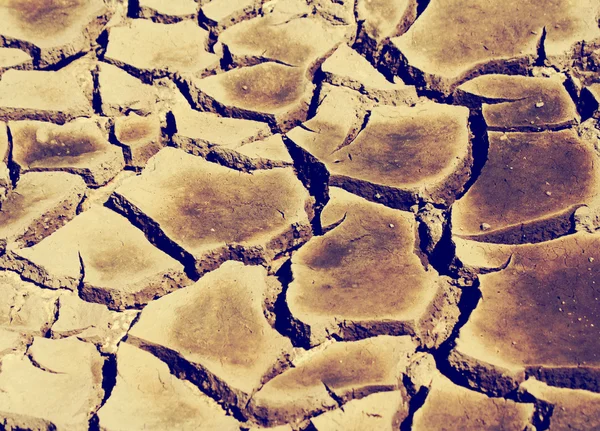 干裂土 — 图库照片