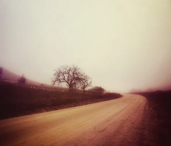 Camino de tierra en la niebla — Foto de Stock
