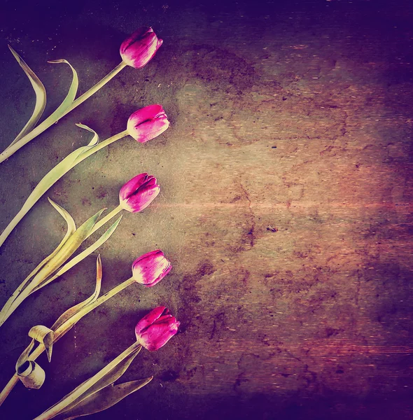 Tulips on a wooden board — Stock Photo, Image