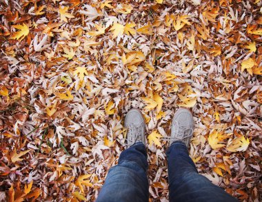 Ayakları üzerinde renkli sonbahar