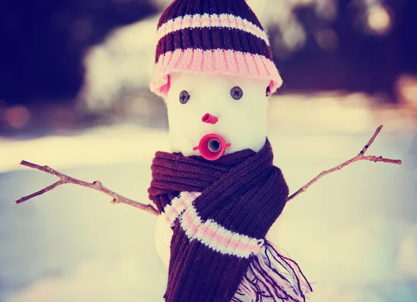 Sneeuwpop met hoed en sjaal — Stockfoto