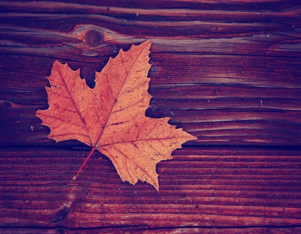 Hoja sobre fondo de madera —  Fotos de Stock