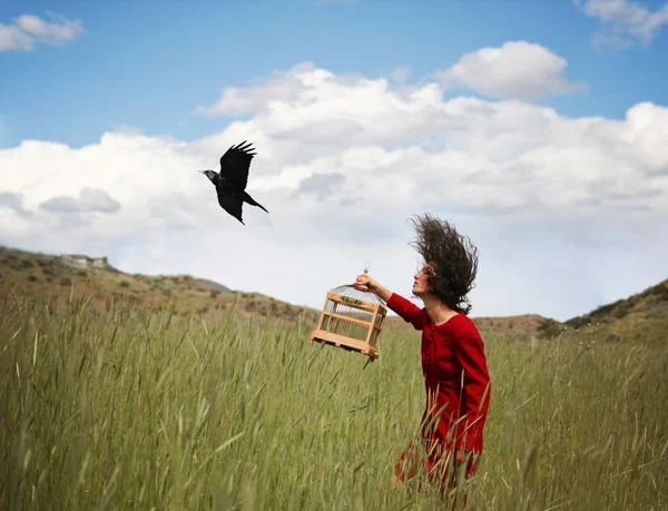 Girl in field with bird — Stock Photo, Image