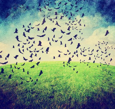 Kuşlar gökyüzü ve çim ile