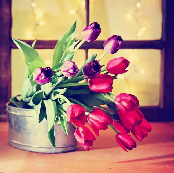 Tulips in front of window pane — Stock Photo, Image