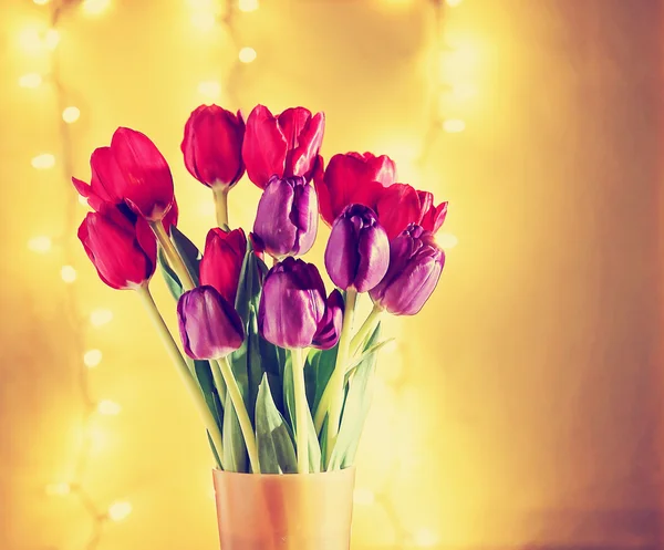 Beautiful tulip flowers — Stock Photo, Image