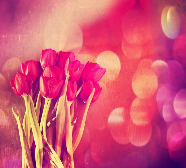 Vackra tulpaner blommor — Stockfoto