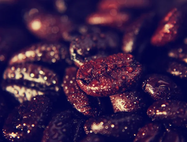 Background with coffee beans — Stock Photo, Image