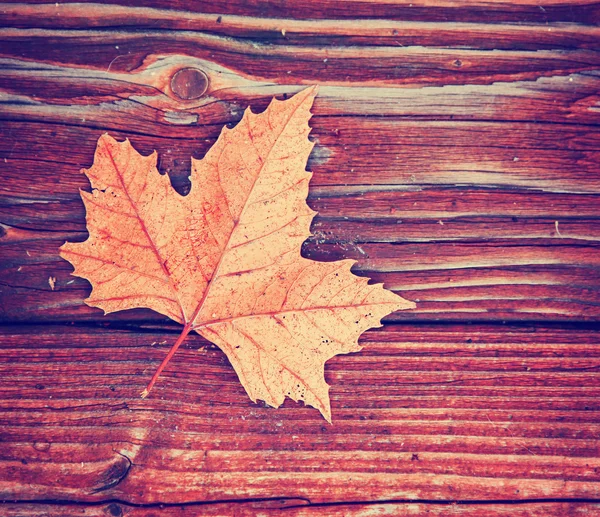 Herfstblad op houten ondergrond — Stockfoto