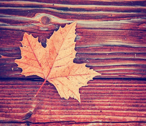 Hoja de otoño sobre fondo de madera — Foto de Stock