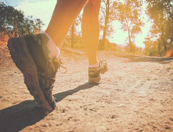 An athletic pair of legs running or jogging on a path during su — Stock Photo, Image