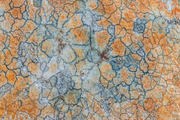 Beautiful pattern of lichen on the stone — Stock Photo, Image