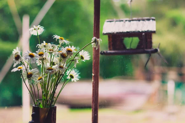 El ramo de las margaritas en el florero sobre el alféizar de ventana en la casa de campo —  Fotos de Stock