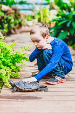Boy petting a red-eared turtle clipart