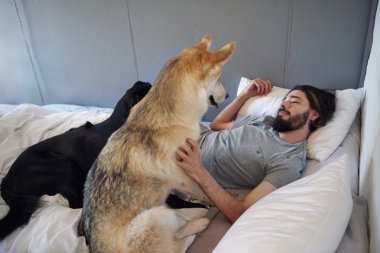 adam yatakta köpeğiyle