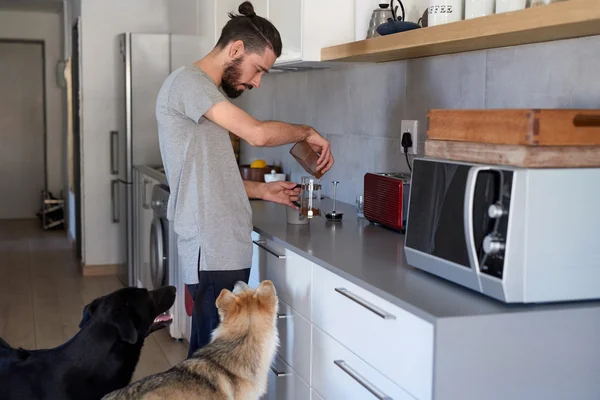 Hipster man och hund hemma — Stockfoto