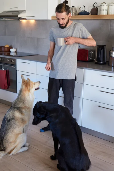 Hipster homem e cães em casa — Fotografia de Stock