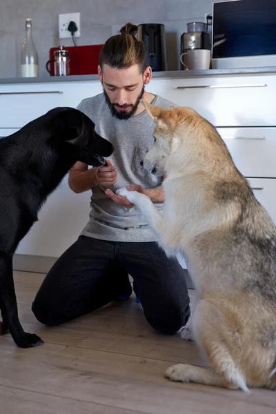 Hombre entrenamiento mascotas en casa — Foto de Stock