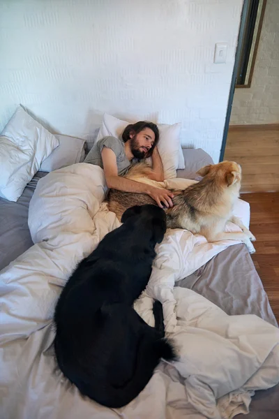 Hombre acaricia a sus perros mientras está acostado en la cama —  Fotos de Stock