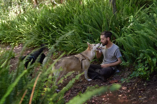 男は、彼の犬を歩いてから休憩を取る — ストック写真