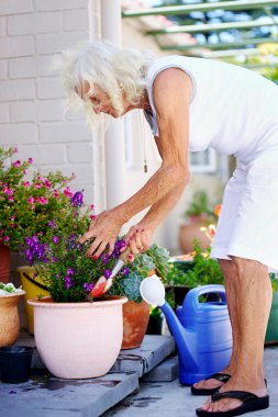 saksıyı üzerinde çalışan yaşlı kadın