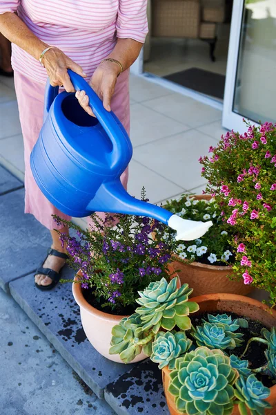 Mujer pensionista riego flores plantas — Foto de Stock