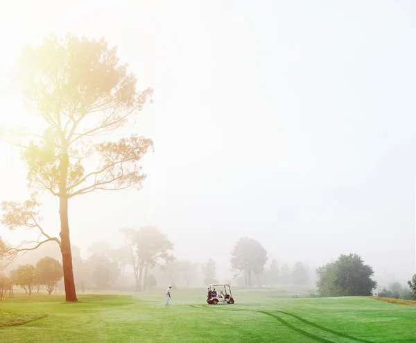 Людина вранці гра в гольф — стокове фото