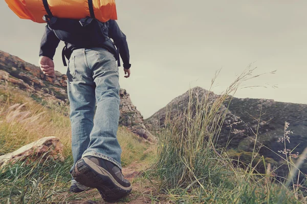 Adam vahşi dağ sırt çantası ile hiking — Stok fotoğraf