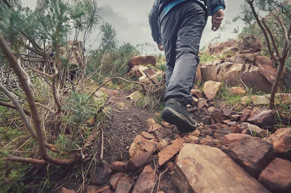 Adam vahşi dağ hiking — Stok fotoğraf