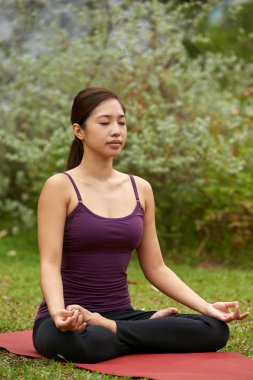 yaşam tarzı yogi meditasyon