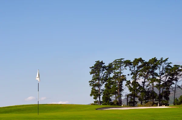 Golf course pin — Stock Photo, Image