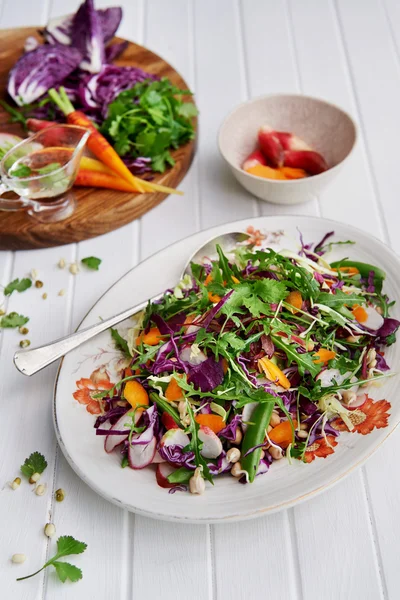 Freshly homemade plated vegetable coleslaw — 图库照片